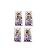 Somonlu Kısırlaştırılmış Kedi Maması 2 KG X 4 ADET