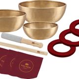 Sonic Energy Therapy Singing Bowls – 3 parçalı ses çanağı seti, ses iyileştirme, meditasyon için – güçlendirilmiş kenar – 2 tokmak, kumaş kılıf, keçe halkalar dahil (SB-E-3100)