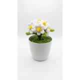 Şönil Beyaz Papatya Mini Saksı - Minimal
