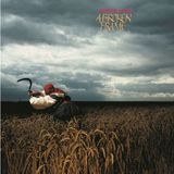 Sony Depeche Mode A Broken Frame - Plak