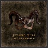 SONY Jethro Tull - Curious Ruminant - Plak