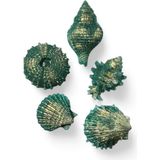 Soo Soap Deniz Kabukları Yeşil Gold 5'li Sabun Seti Hediyelik Dekoratif El Yapımı - 10 Adet