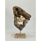 Sooboho Ahşap Driftwood Deniz Kabuğu Dekor Biblo