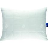 Soub Sleep Home Yün Yastık 50X70CM 800GR - 50 × 70 cm - Beyaz