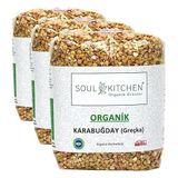 SOUL KITCHEN ORGANİK ÜRÜNLER Karabuğday (Greçka) 500gr (3 paketi)