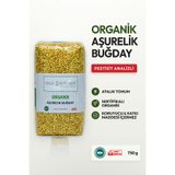 Soul Kitchen Organik Ürünler Organik Aşurelik Buğday Katkısız 750 g