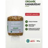 Soul Kitchen Organik Ürünler Organik Karabuğday Greçka Çiğ Katkısız 500 g - 500 gr