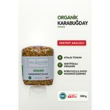 Soul Kitchen Organik Ürünler Organik Karabuğday Greçka Çiğ Katkısız 500 g