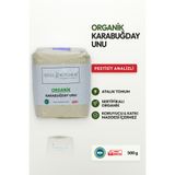 Soul Kitchen Organik Ürünler Organik Karabuğday Unu Katkısız 500 g