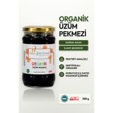 Soul Kitchen Organik Ürünler Organik Sertifikalı Üzüm Pekmezi Soğuk Sıkım Şeker İlavesiz 380 g