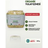 Soul Kitchen Organik Ürünler Organik Yulaf Ezmesi Katkısız 500 g - 500 gr