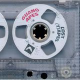 Sound Box GUANO APES - THE LOST (T)APES - 1 PLAK
