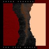 Sound Box PETER GARRETT - THE TRUE NORTH - 1 PLAK