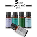 Sourbe Beyaz Sabun, Lavanta, Okaliptus, Bebek Esansiyel Koku Yağı Buhurdanlık Yağı 5X10ML