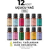 Sourbe Esansiyel Uçucu Koku Yağı Buhurdanlık Yağı Ortam Oda Kokusu Difüzör Esansı Hobi Esansı 12X10 ml