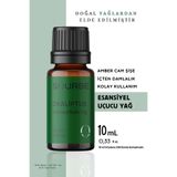 SOURBE Okaliptus Esansiyel Uçucu Koku Yağı Buhurdanlık Yağı Ortam Oda Kokusu Difüzör Esans Hobi Esansı 10ml