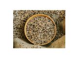Soylupetshop Karışık Kanarya Yemi 1 Kg