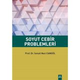 SOYUT CEBIR PROBLEMLERI - NEŞET AYDIN