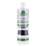 Spanish Garden Kömür ve Kahve Özlü 450 ML Yoğun Arındırıcılı Saç Kremi
