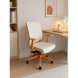 Spark Fine Ofis Sandalyesi Sırt Ergonomik Çalışma Koltuğu
