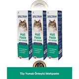 Spectrum Care Anti Hairball - Tüy Yumağı Önleyici Kedi Malt Paste - Kedi Malt Macunu 100 gr - 3'lü Kedi Gıda Takviye Set