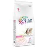 Spectrum Kitten 38 Yavru Kedi Maması 4 kg Açık
