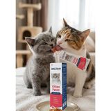 Spectrum Kitten Paste Yavru Kediler İçin 100 gr Multivitamin Malt Macunu Lezzetli ve Besleyici