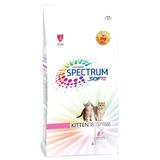 Spectrum Kitten38 Tavuklu Yavru 12 kg Kedi Maması