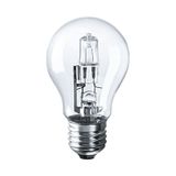 Speedlight Ampul 28w 40w Şeffaf Halojen E27 Sarı Işık