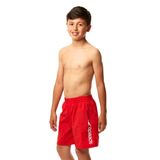 Speedo Erkek havuz şortu Challenge 15 Wsht JM L Kırmızı