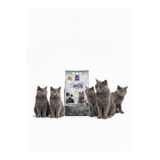 SPELLY ACTIVE CARBON TECNOLOGY KEDİ KUMU 5 Litre