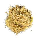 Sphagnum Yosunu 10 Lt