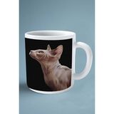 Sphynx Kedi Isimli Kişiye Özel Baskılı Kupa Bardak Model 2