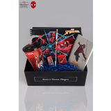SPIDERMAN DEKOMUS ÖZEL KUTULU LİSANSLI KIRTASİYE SETİ PİPETLİ BARDAK,RESİM DEFTERİ,KURŞUN KALEM,SİLG