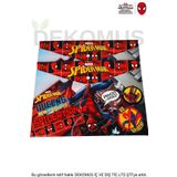 Spiderman YENİ SEZON LİSANSLI SPIDERMAN TEKLİ ÇITÇITLI DOSYA