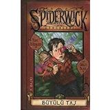 Spiderwick Günceleri 2 - Büyülü Taş - Tony DiTerlizzi Holly Black