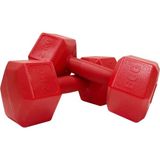 Spor 2 kg Altıgen Kırmızı Dambıl Seti 2 kg x 2 Adet Toplam 4 kg Ağırlık Seti