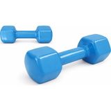 Spor Gezegeni Alızada Dambıl - 6 kg - Mavi