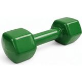 Spor Gezegeni Alızada Dambıl - 8 kg - Yeşil