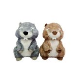 Spor35 PB31609-23 Peluş Oturan Sincap 23cm - 1adet stokta olan gönderilir Kız Erkek Çocuk Oyuncak Eğitici O