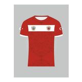 SPORTECH Kurt Motifli Türkiye-Azerbaycan Forması TEK ÜST (Tek Kelime İsim ve Numara Yazılır)-128 K0173
