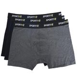 Sportive 24KBXR01-RNK SPT Gri 3'lü Günlük Stil Erkek Boxer