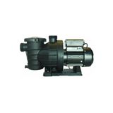 SPP SUPERPOOL Superpool 1,5 Hp Monofaze Smp Serisi Havuz Pompası