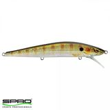 Spro Mcstick 110 Perch Sert Balık Yemi