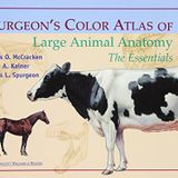 Spurgeon's Color Atlas of Large Animal Anatomy: The Essentials