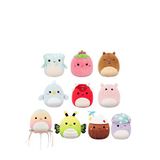 Squishmallows Koleksiyon Paketi 10'lu Figür Oyuncak Cr07839