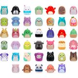 Squishmallows Squish-A-Longs Mini-Squish 40'lı Paket SQAL0129 - Renkli