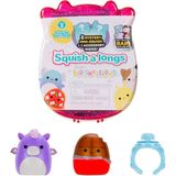 Squishmallows Squish-A-Longs Sürpriz Paket Seri 3 SQAL0044 - Renkli