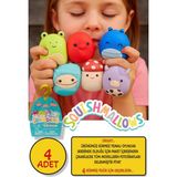 Squishmallows Squooshems – 4 Adet - 6.5 cm Vıp Sürpriz Yumuşacık Koleksiyon Oyuncağı Seri 11