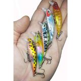 Sr Sazanrig 5 Adet Kutulu Lrf ve Spin Suni Rapala 5.8 cm 5.4 gr Balık Yem Seti